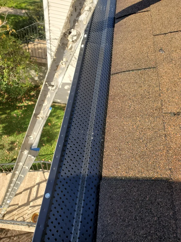 Mesh gutter guard installed along the edge of a shingle roof